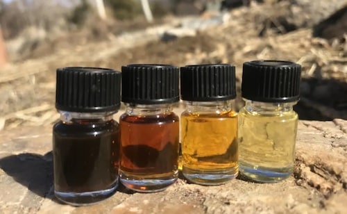 Essential Oils for Psychedelic Therapy