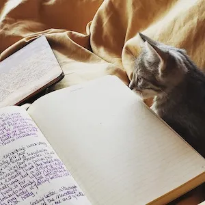 cat-and-journal-300x